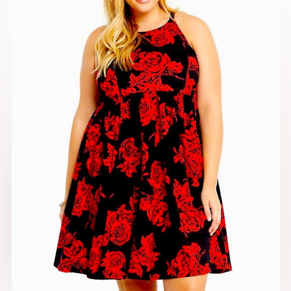 NWT Torrid Floral Print Ponte High Neck Skater Dress; Red & Black; Size 10